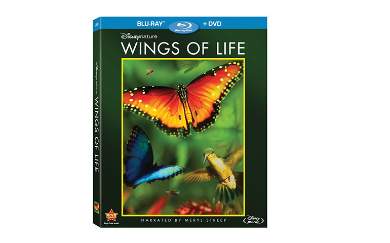 Çfarë në kohën e lirë? SHIKONI DOKUMENTAR PËR FËMIJË –  Wings Of Life