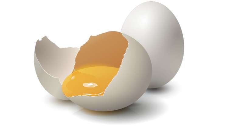 Пилешко VS јајца