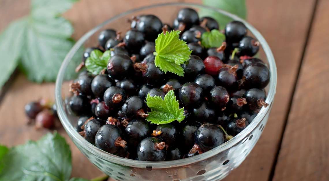 Aronia