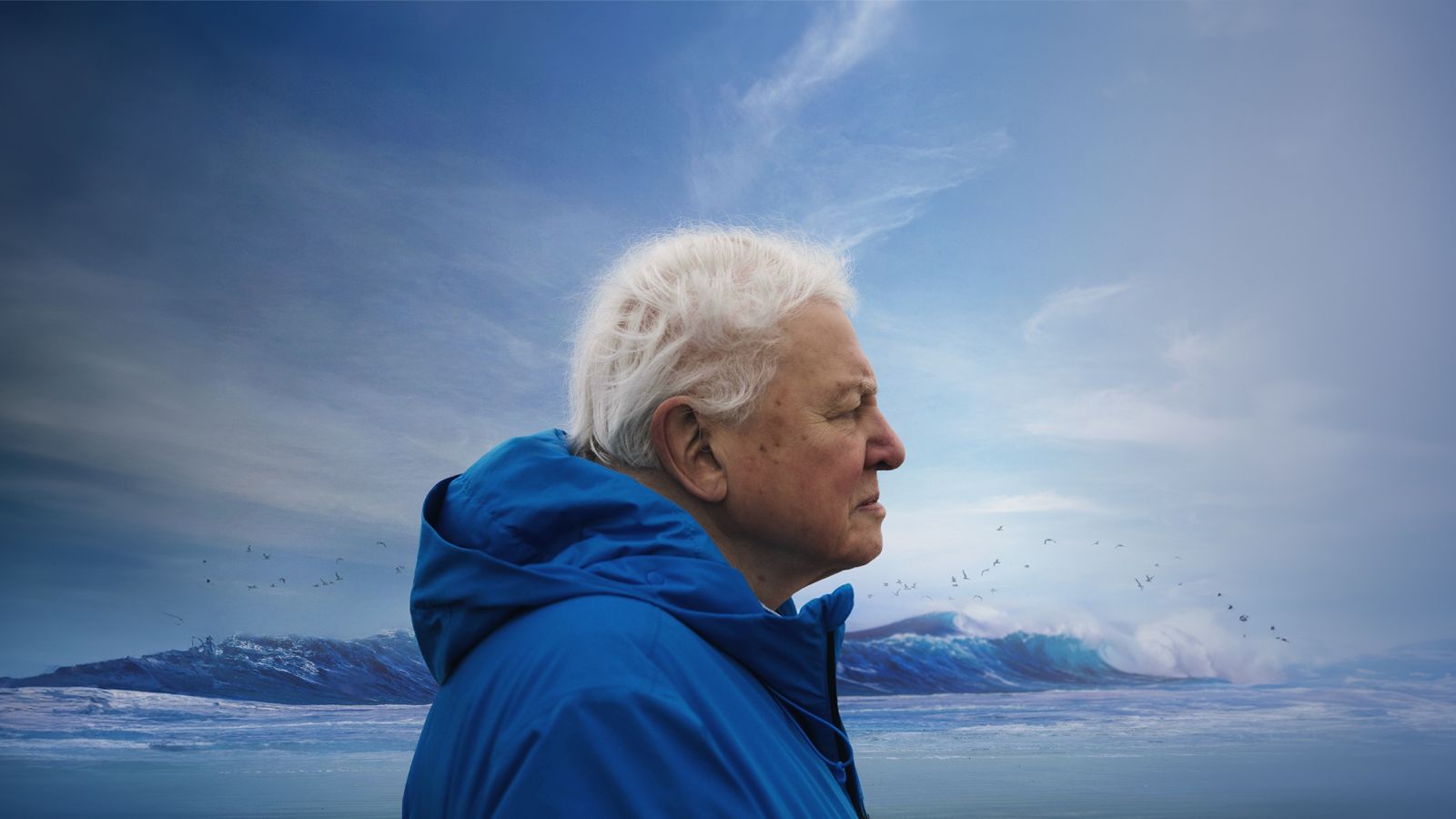 Што во слободно време? Ocean with David Attenborough – Документарен филм